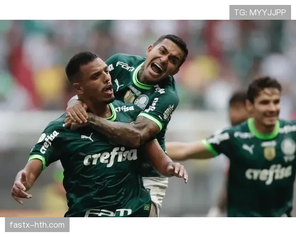 巴西队防线稳固助力球队晋级关键赛事