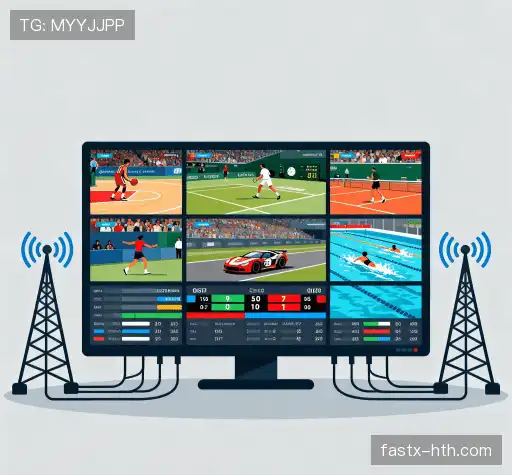 我们的领先优势